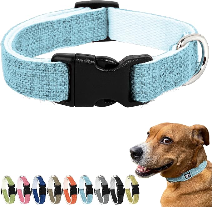 Hypoallergenic Dog Collar - Great for Sensitive Skin, Soft Collar for Dogs, Soft Organic & Earth Friendly (Small, Light Blue)