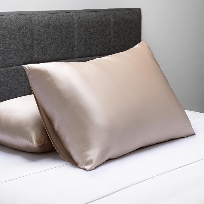 Fishers Finery 30mm 100% Pure Mulberry Silk Pillowcase Set, Quality Tested (Taupe, Queen, 2 Pack)