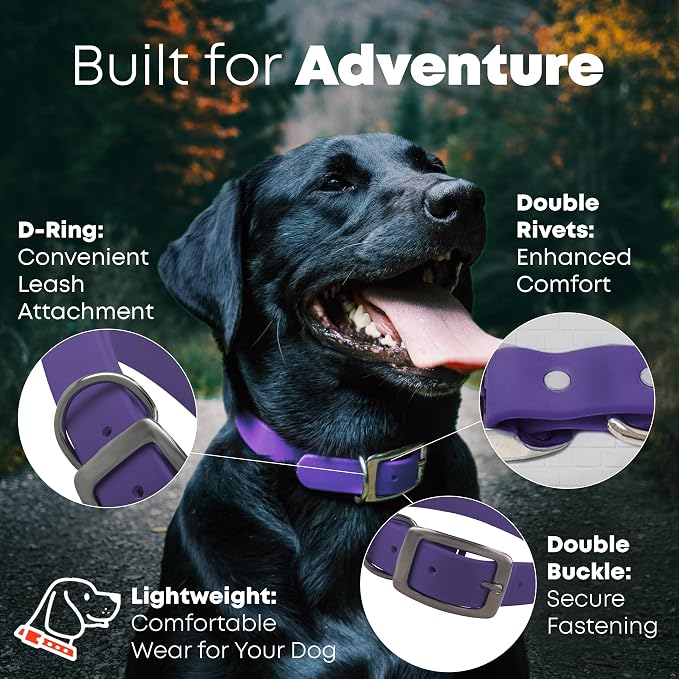 Regal Dog Products Small Purple Waterproof Dog Collar and Leash Set | Heavy Duty Double Buckle & D Ring - 5'ft Leash | Adjustable Biothane Dog Collar | Chew Resistant Waterproof Collar for Dogs
