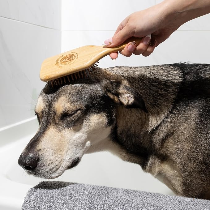 Doggy Style Large Bamboo Dog Brush, Deshedding & Detangling Grooming Brush for Medium & Large Dogs, Bamboo Pin Bristles, 9.5 Inch