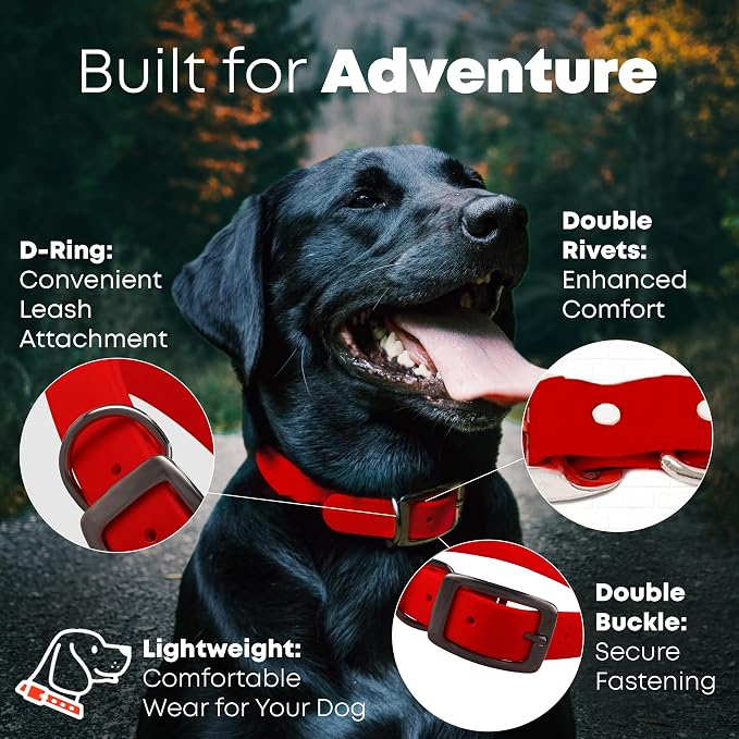 Regal Dog Products Large Red Dog Collar with Heavy Duty Double Buckle & D Ring | Vinyl Coated, Custom Fit, Adjustable Biothane Dog Collar Chew Resistant Waterproof Collar for Dogs