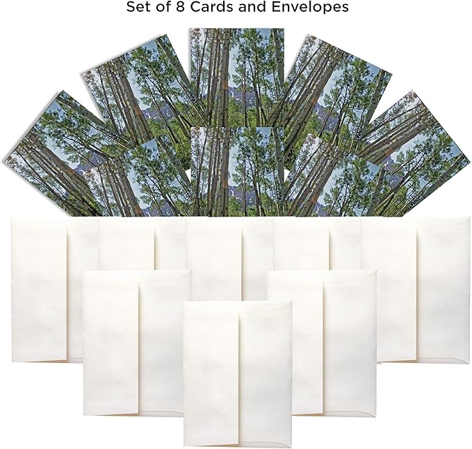 Tall Trees Boxed Note Cards – Aspen Grove Spring Photo, 8 Premium A7 Recycled Stationery with Envelopes