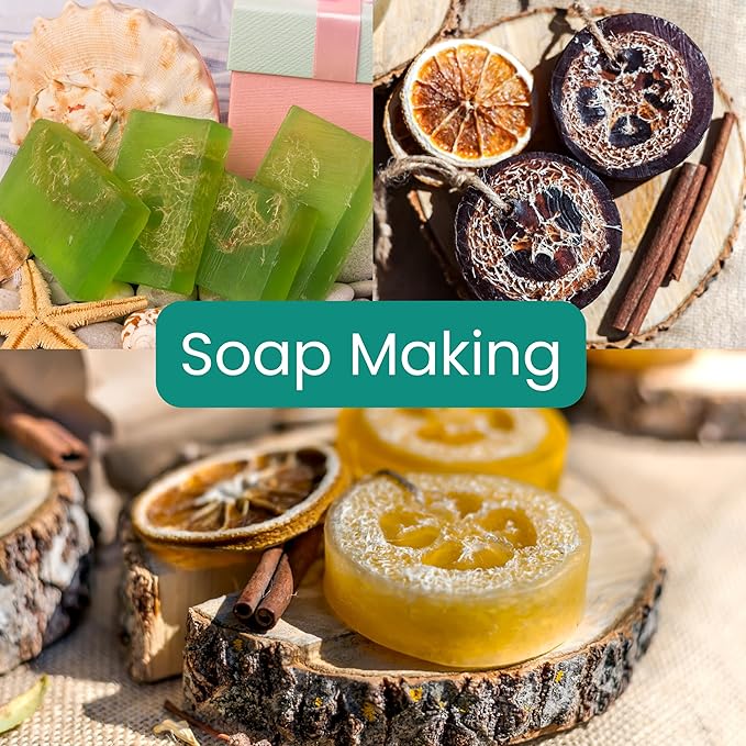 5 Pcs (14 – 16 Inches) Natural Loofah Sponge | Organic Loofah | Shower Loofah Exfoliating Body Scrubber | Bath for Loofah for Men and Women | (5 - Pack)