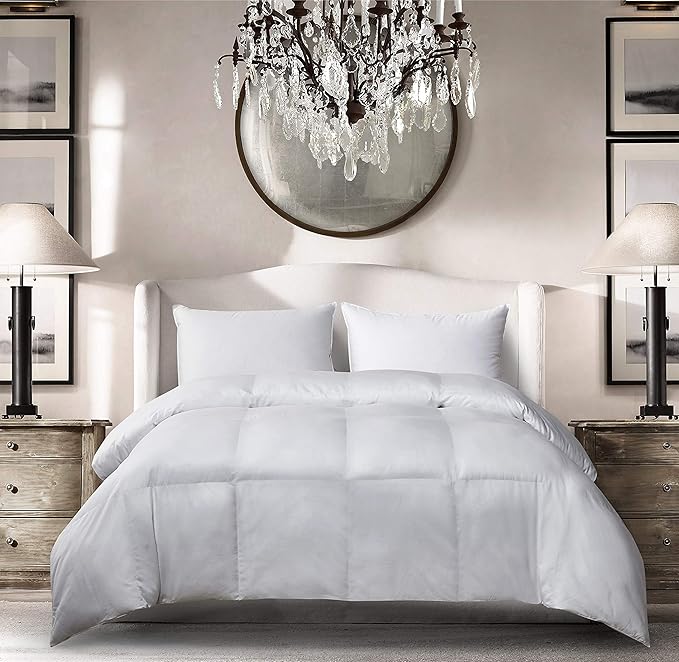 Blue Ridge Home Fashions Season Light Weight Down Alternative Comforter-Hypoallergenic Microfiber Fill, Twin, White