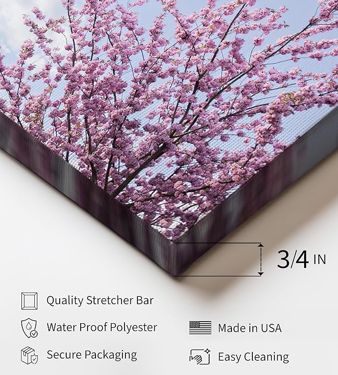 Monem Art Cherry Blossom Spring Sky Photography Print - Floral Nature Art Poster - Wall Decor for Living Room, Bedroom or Office - 24x32 STRETCHED CANVAS Wall Art by Mareike Bohmer