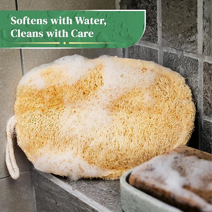 Natural Loofah Exfoliating Sponge (3 Pack) - Organic Loofah for Body - Biodegradable Shower Luffa - Natural Bath Sponges Loufa - Estropajos para el Cuerpo