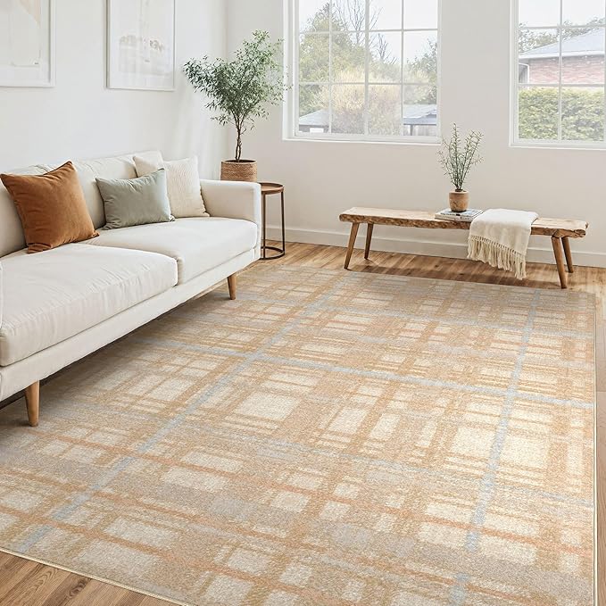 Tortania Area Rug Living Room Rugs - 6x9 Washable Large Soft Neutral Boho Moroccan Bohemian Farmhouse Rug Indoor Floor Carpet for Bedroom Under Dining Table Home Office Decor - NeutralBeige