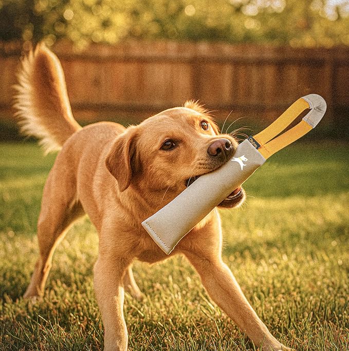OllyDog Tugger | Dog Tug Toy for Tug of War & Training | Durable Bite Pillow | Eco-Friendly Recycled | Handle | Medium Large Dogs (Con Leche)