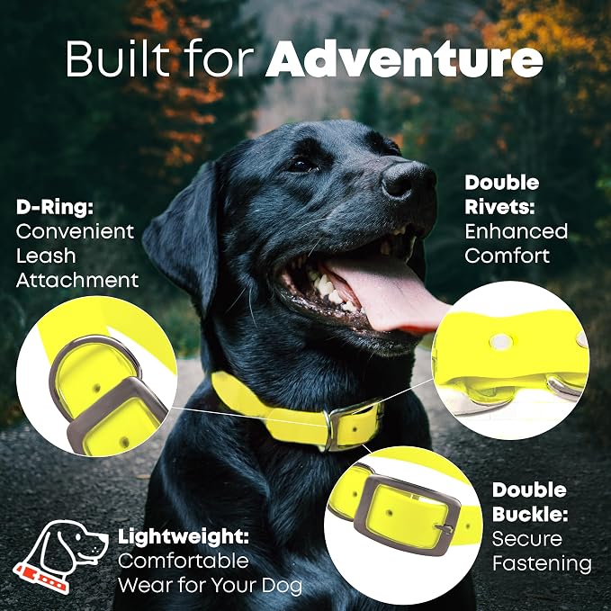 Regal Dog Products Large Yellow Dog Collar with Heavy Duty Double Buckle & D Ring | Vinyl Coated, Custom Fit, Adjustable Biothane Dog Collar Chew Resistant Waterproof Collar for Dogs