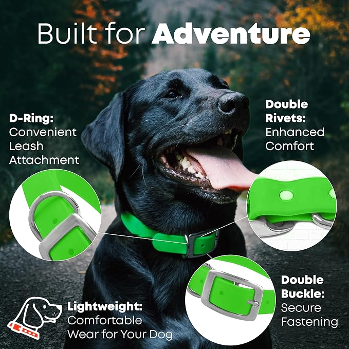 Regal Dog Products Large Light Green Waterproof Dog Collar and Leash Set | Heavy Duty Double Buckle & D Ring - 5'ft Leash | Adjustable Biothane Dog Collar | Chew Resistant Waterproof Collar for Dogs