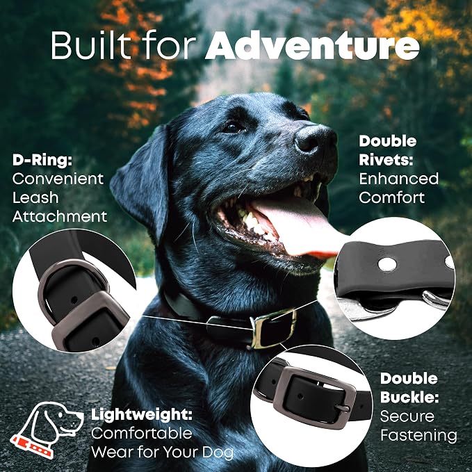 Regal Dog Products Large Black Waterproof Dog Collar and Leash Set | Heavy Duty Double Buckle & D Ring - 5'ft Leash | Adjustable Biothane Dog Collar | Chew Resistant Waterproof Collar for Dogs