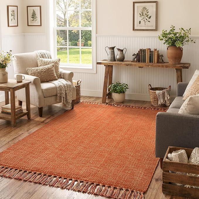 Collive Comfy Area Rug 4' x 6', Terra Woven Cotton Bedroom Rugs, Modern Indoor Accent Rug Floor Carpet with Tassel for Living Room, Nursery Room, Dining Room, Bedside