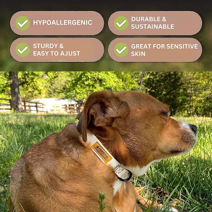 Pawsitive Hemp Dog Collar - Super Soft Hypoallergenic Lining. Great for Small, Medium and Large Dogs; Small Rosemary Red