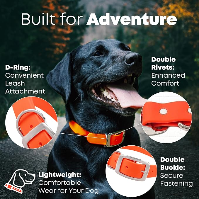 Regal Dog Products Medium Orange Dog Collar with Heavy Duty Double Buckle & D Ring | Vinyl Coated, Custom Fit, Adjustable Biothane Dog Collar | Chew Resistant Waterproof Collar for Dogs