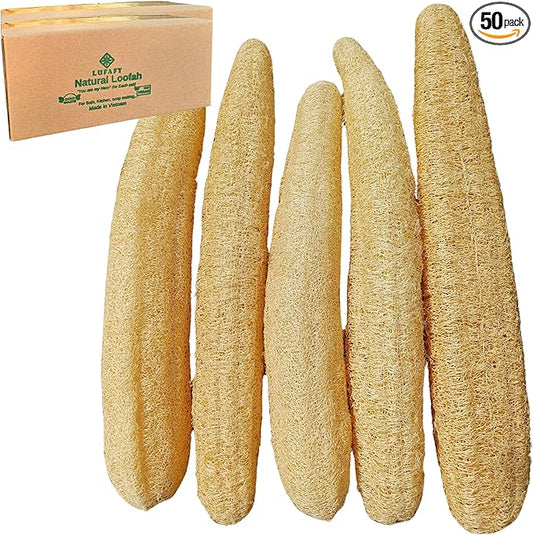 5 Pcs (14 – 16 Inches) Natural Loofah Sponge | Organic Loofah | Shower Loofah Exfoliating Body Scrubber | Bath for Loofah for Men and Women | (5 - Pack)