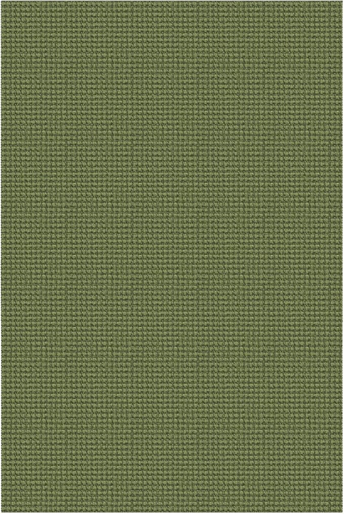 EARTHALL Woven Area Rug 4x6 Ft Washable Rugs for Entryway Non Slip Braided Throw Rugs Bedroom Carpet Cotton Entry Rug Cotton Floor Carpets for Bedroom Dining Room Living Room, Green