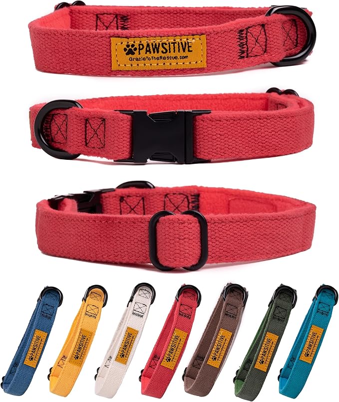 Pawsitive Hemp Dog Collar - Super Soft Hypoallergenic Lining. Great for Small, Medium and Large Dogs; Small Rosemary Red