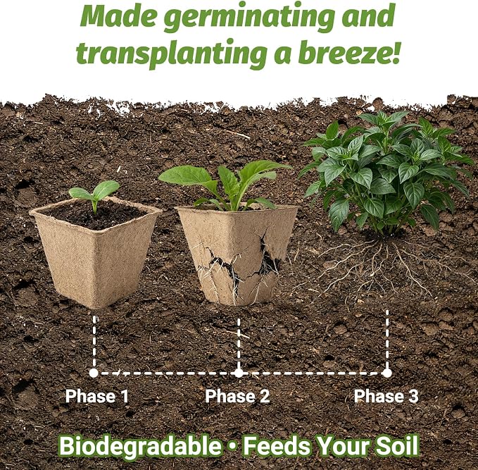 60Pcs 3.1 Inch Square Peat Pots - Nursery Pots with Drainage Holes for Seedlings - Biodegradable Seed Starting Pots with 60Pcs Plant Labels for Garden Plants