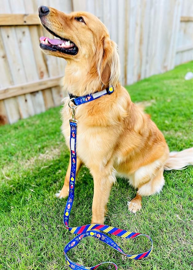 Lucky Love Dog - Easy Click Buckle Dog Collar with Leash Set Combo, Durable & Comfortable for Male & Female Dogs, Pet Collar for Large Dogs, Secure Fit - Mackey Combo, Large