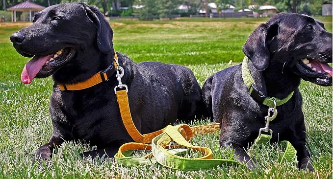 Hemp Corduroy Dog Collar - No Pattern (1/2" Small, Blue)